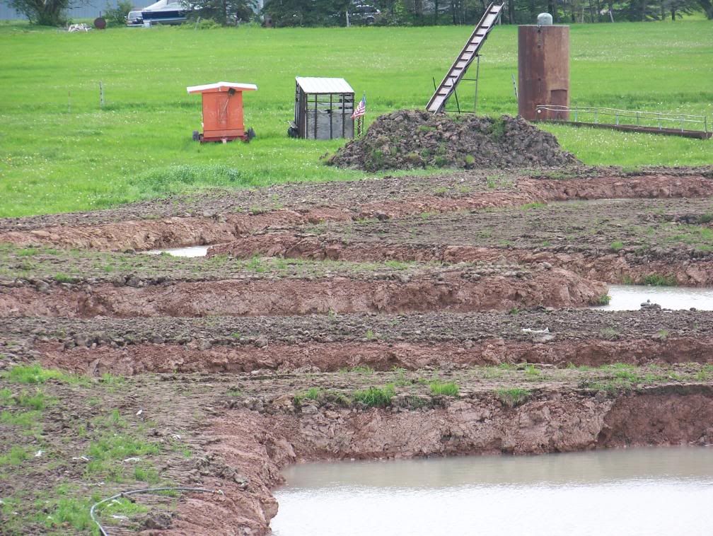 ponds filling up pics the RTF