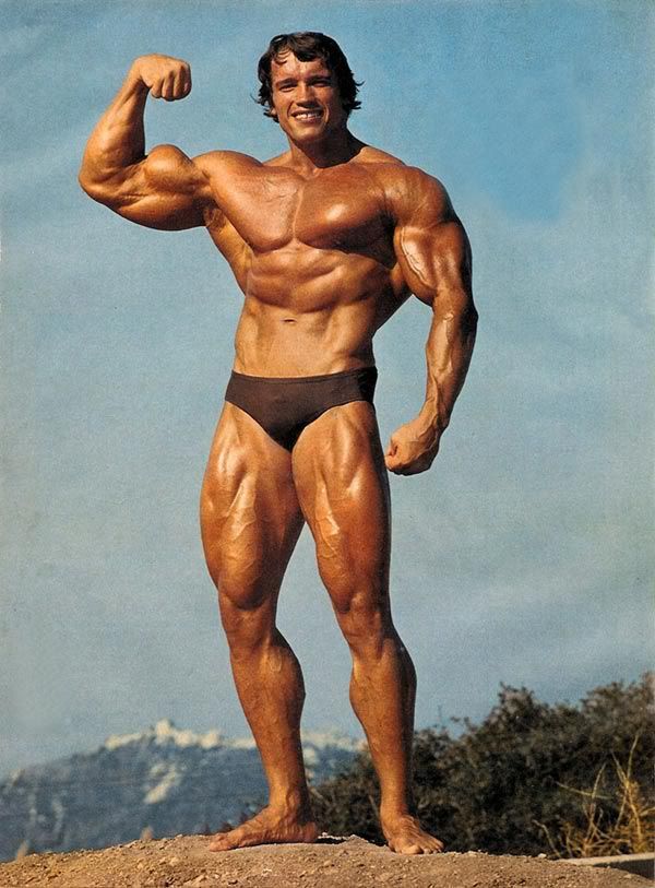 arnold schwarzenegger nowadays. arnold schwarzenegger now fat.