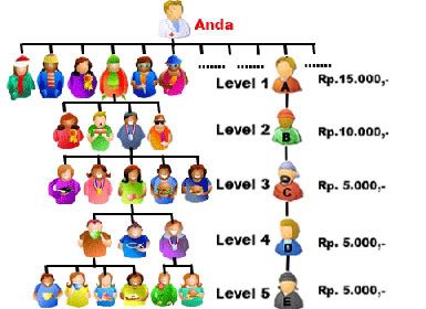 network system