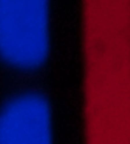 IMAGE: http://i274.photobucket.com/albums/jj243/Landingnet/SMGG-5-1.jpg