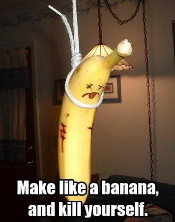http://i274.photobucket.com/albums/jj243/videogamer_01/kill_yourself.jpg