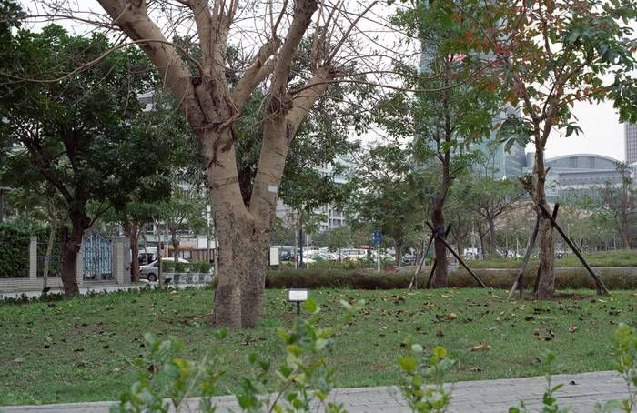 CONTAX CY,PENTAX M42標準鏡 數位,底片測試之 油潤松鼠