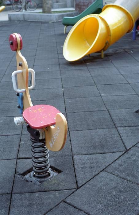 CONTAX CY,PENTAX M42標準鏡 數位,底片測試之 油潤松鼠
