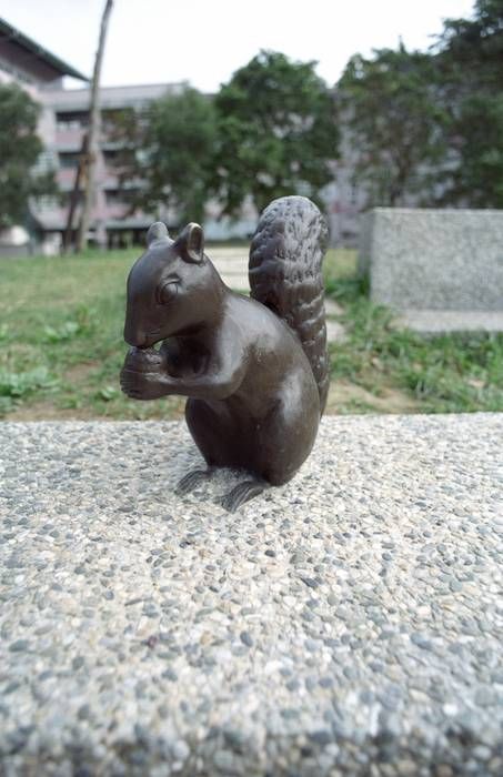 CONTAX CY,PENTAX M42標準鏡 數位,底片測試之 油潤松鼠