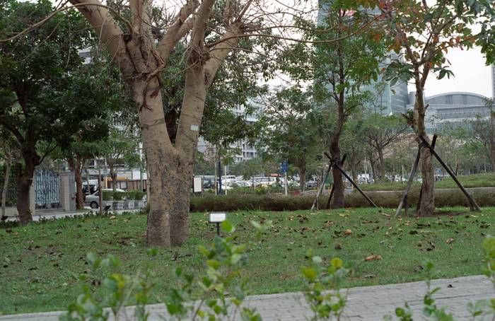CONTAX CY,PENTAX M42標準鏡 數位,底片測試之 油潤松鼠