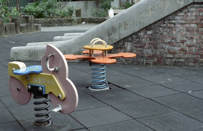 CONTAX CY,PENTAX M42標準鏡 數位,底片測試之 油潤松鼠