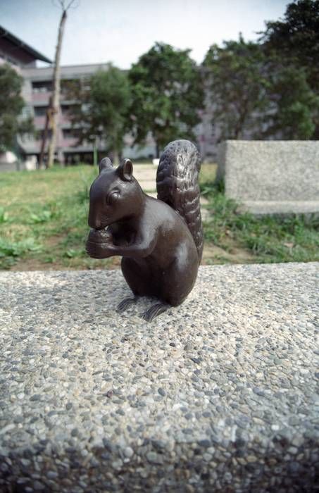 CONTAX CY,PENTAX M42標準鏡 數位,底片測試之 油潤松鼠