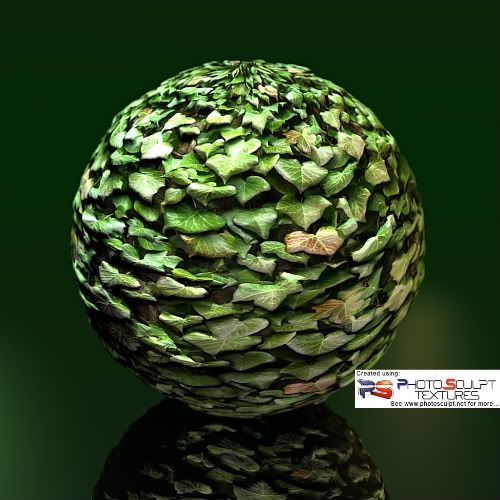 http://i274.photobucket.com/albums/jj245/Spendauballet/Textures/photosculpt-ivy.jpg