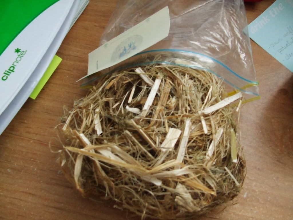hemp bedding hamsters