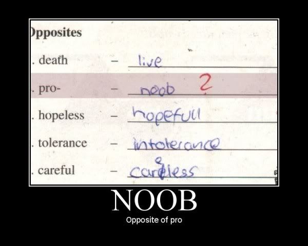 Noob-1.jpg