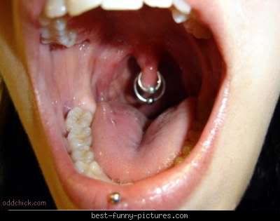 best-funny-pictures_weird-piercing_.jpg aaaahhhhhhh! image by khartfunny