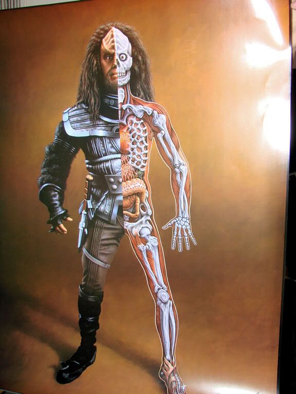 klingonposter001.jpg