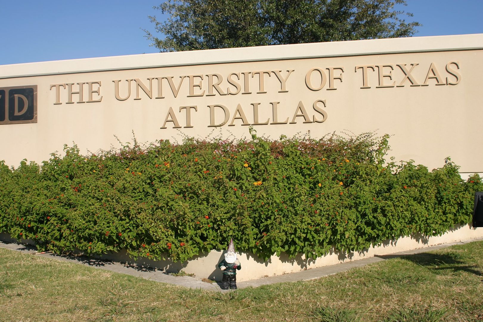 Attending the University of Texas at Dallas