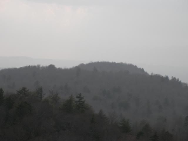 SANY0004-2.jpg