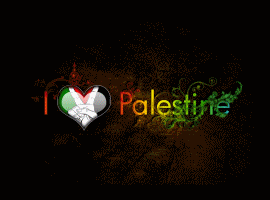 i love palestin Pictures, Images and Photos