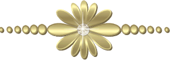 L'image