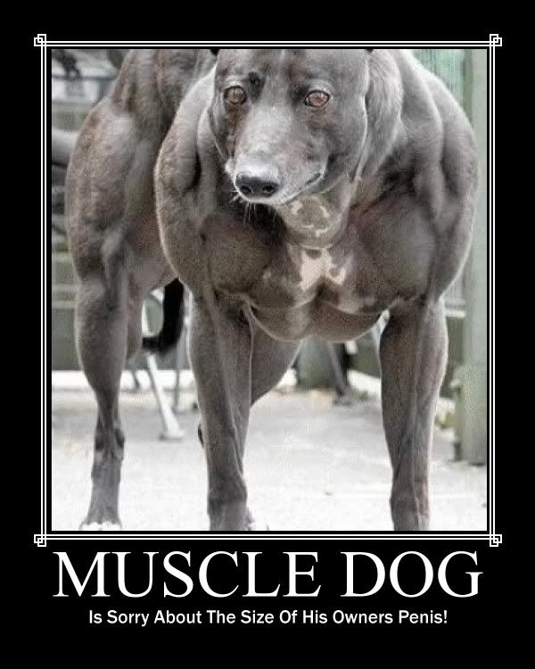 MuscleDog.jpg