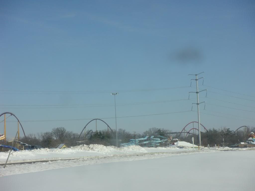 DSC01346.jpg