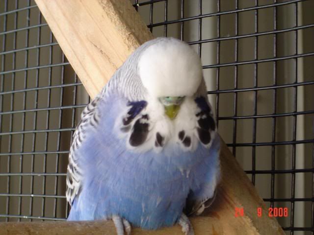 DSC00038.jpg