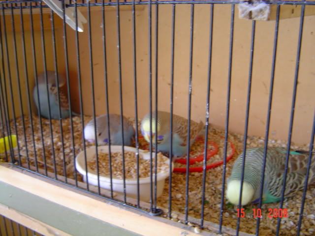 DSC00128.jpg