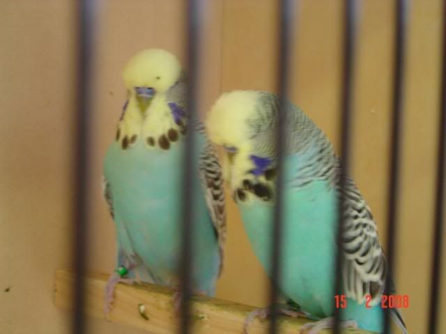 DSC00132.jpg