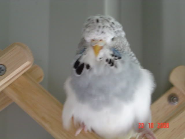 DSC00138.jpg