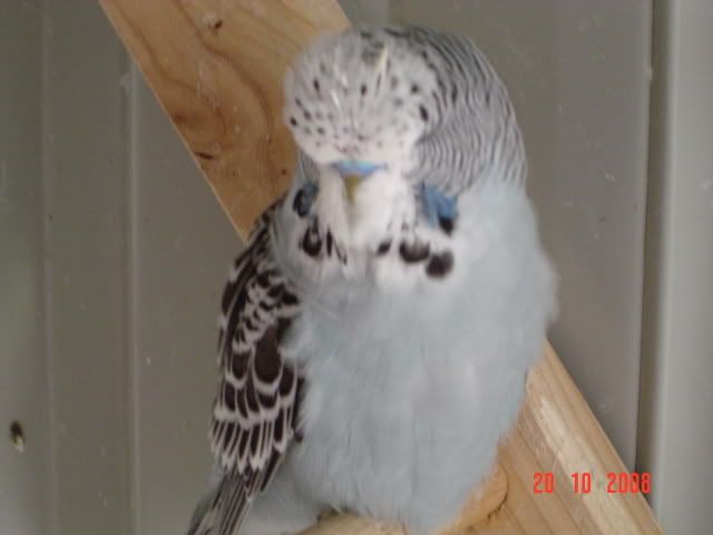 DSC00141.jpg