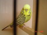 DSC00216-1.jpg