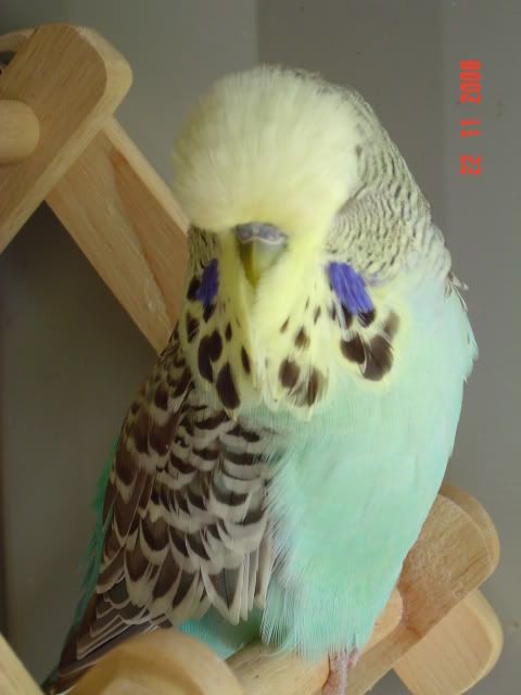 DSC00254.jpg