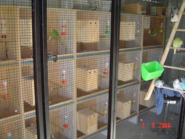 DSC00399.jpg