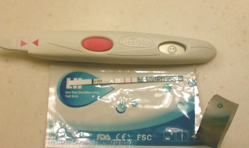 Ovulation and Pregnitude