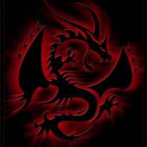 dragon Pictures, Images and Photos
