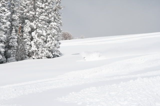 April2010Sledding104.jpg