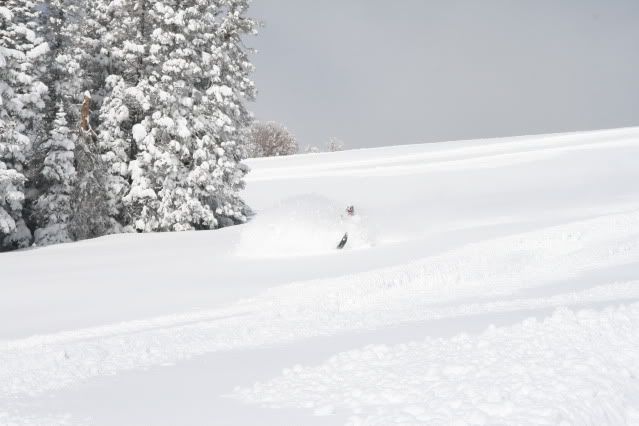 April2010Sledding105.jpg