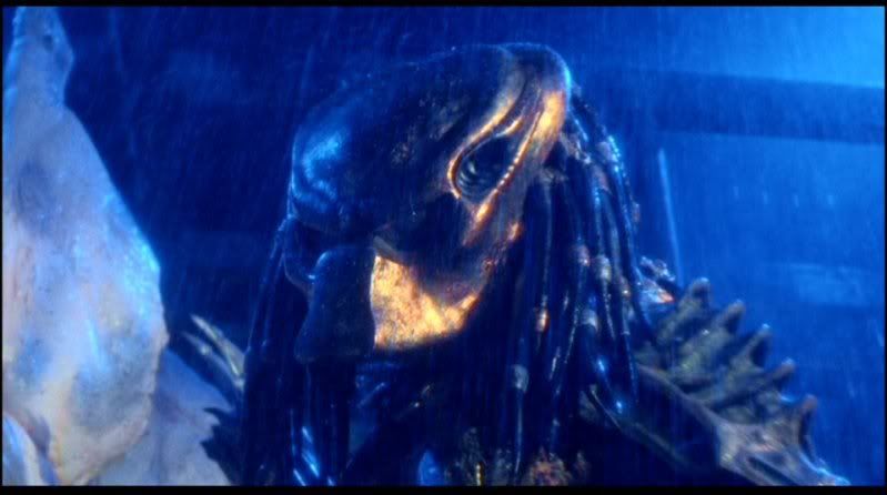 Predator2_13.jpg