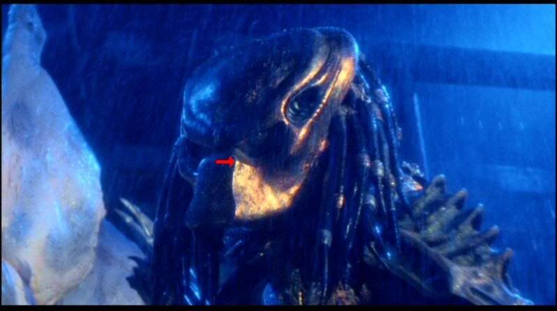 Predator2_13a.jpg