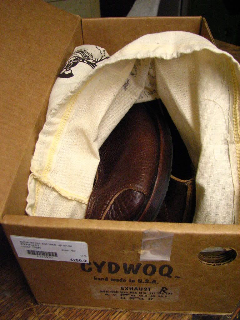 CydwoqShoes015.jpg