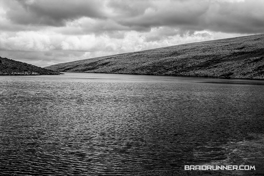 Wild Brown Trout Country Wild Brown Trout Country