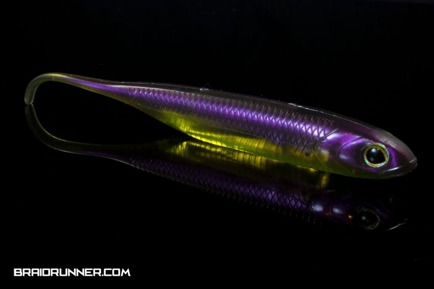 Fish Arrow - Flash J Fish Arrow - Flash J