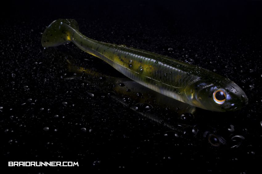 Fish Arrow - Flash J Shad Fish Arrow - Flash J Shad