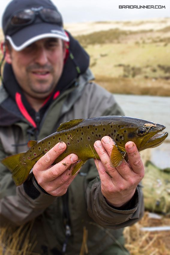 Matt's Brown Trout Matt's Brown Trout