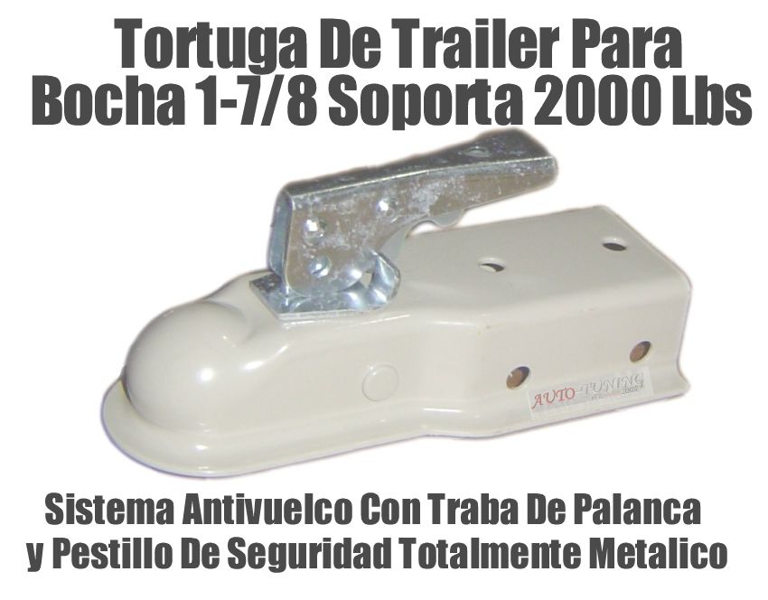 tortuga2.jpg picture by elnando2003