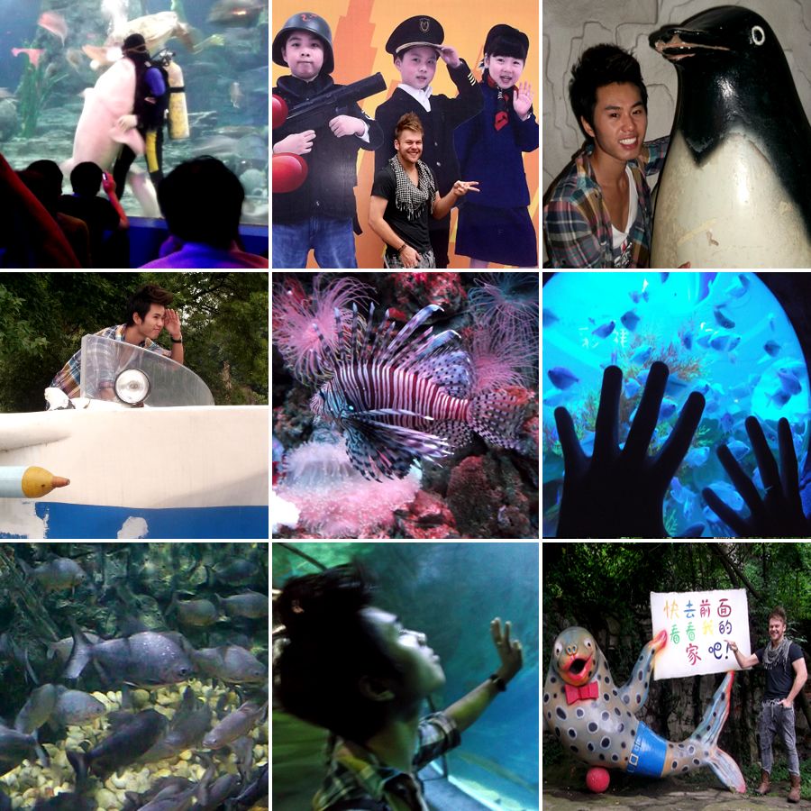 Aquarium