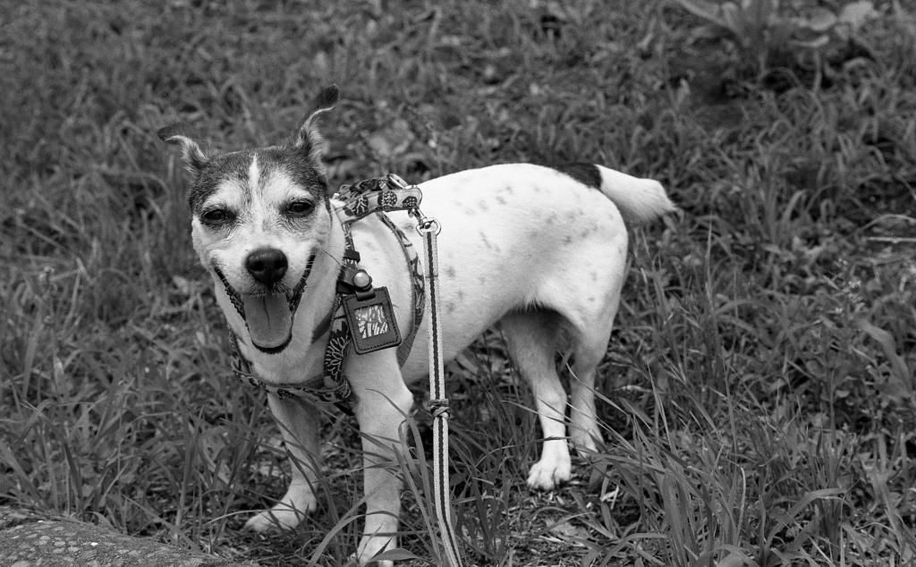 NIkonF58cm024.jpg