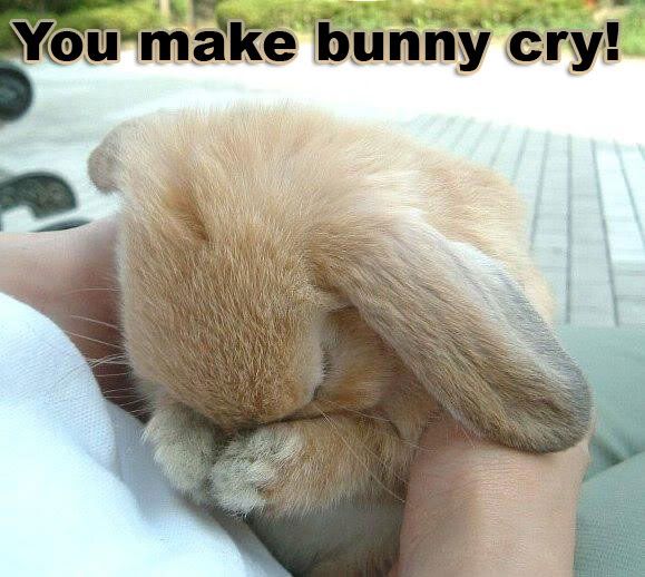 Why-Bunny_Cry.jpg
