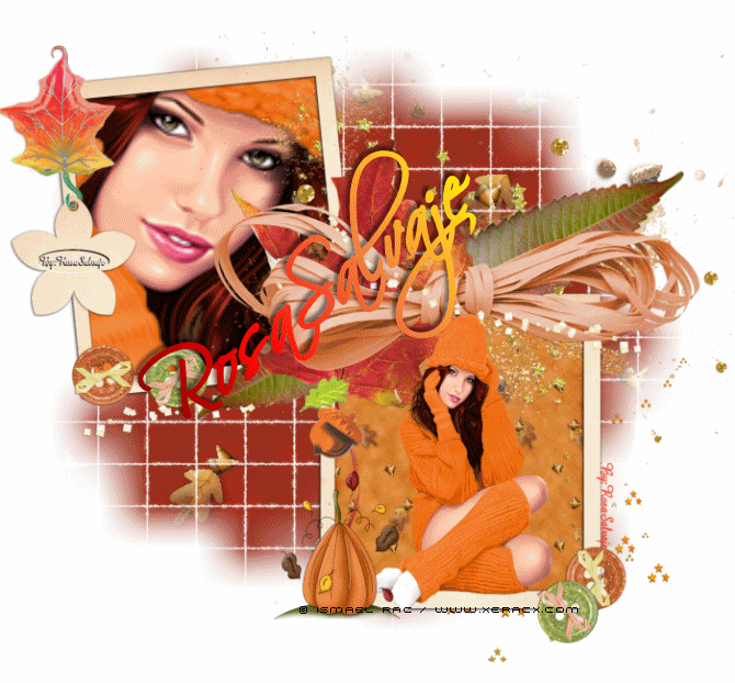 Fondo2.jpg picture by rochy4ever