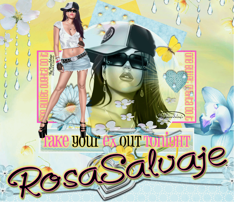 Animation1Rosa.gif 