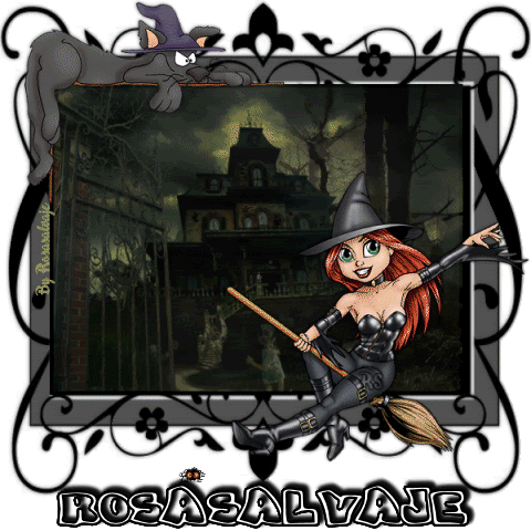 ROSA-13.gif picture by rochy4ever