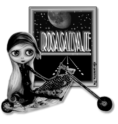 ROSASALVAJEBIKE.gif picture by rochy4ever
