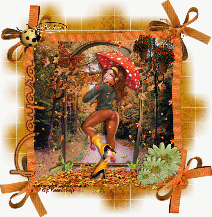 tony-2.gif picture by rochy4ever